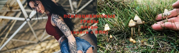 spice Дмитров