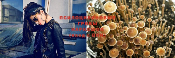 spice Дмитров