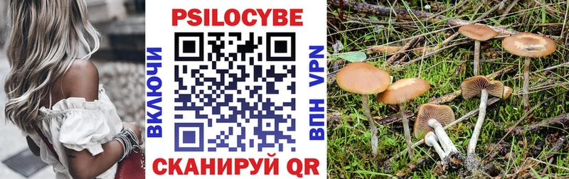 Галлюциногенные грибы ЛСД  Купить закладки  Голицыно 